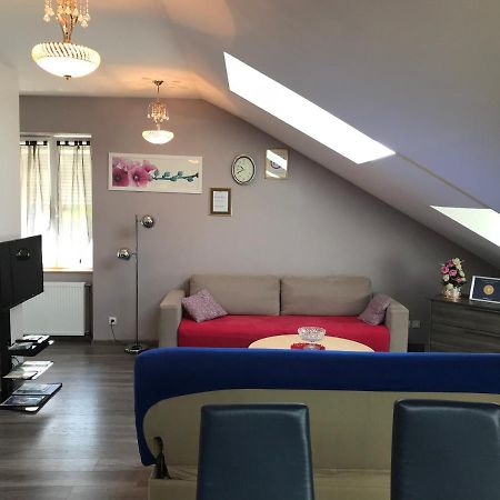Appartement Rochire Location 1 à Gérardmer Extérieur photo