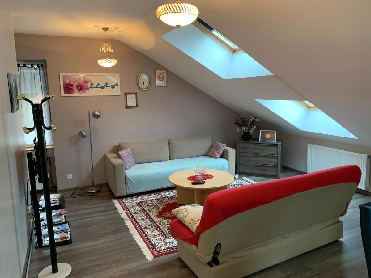 Appartement Rochire Location 1 à Gérardmer Extérieur photo