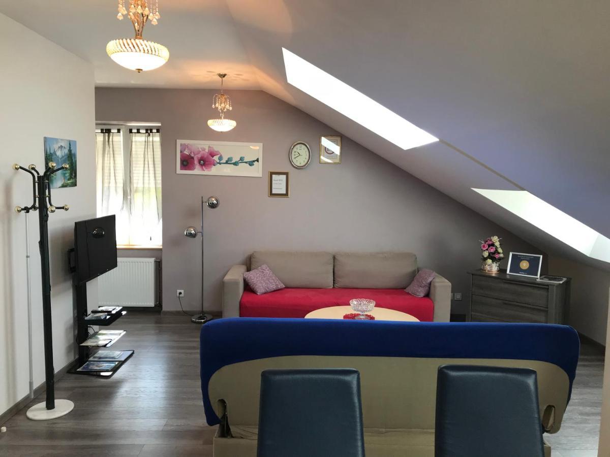Appartement Rochire Location 1 à Gérardmer Extérieur photo
